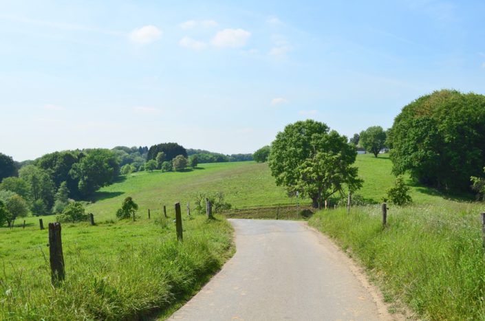 Gueterwege kleine Straße zwischen Weiden und Baeumen