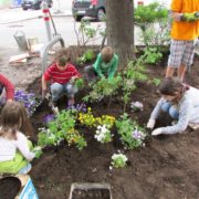 Kinder bepflanzen gemeinsam eine Baumscheibe in der Stadt