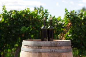 Weinflaschen auf Weinfass im Weingarten